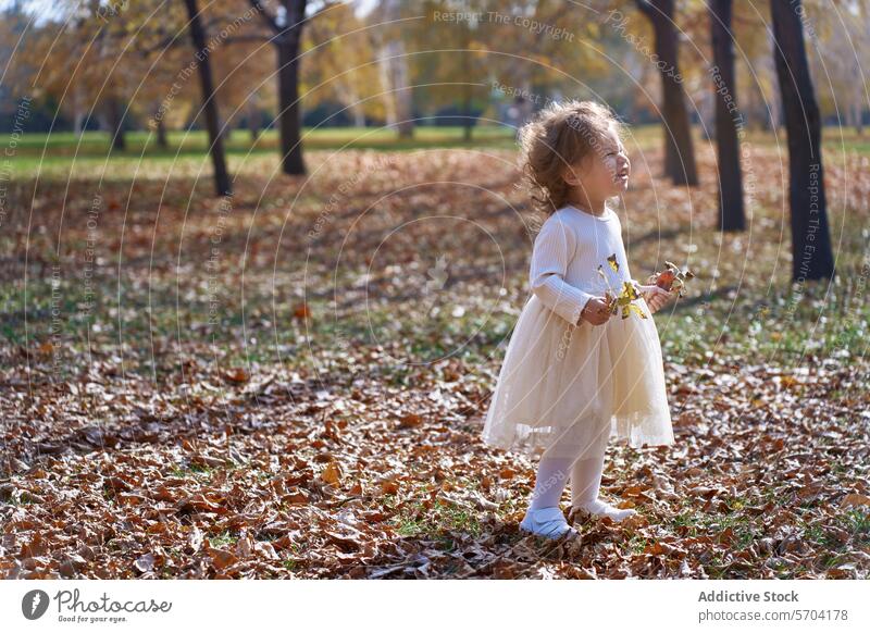 Fröhliches ethnisches Kind spielt mit Blättern in einem Park Mädchen Spielen Herbst Kalifornien USA Natur Freude Fröhlichkeit Kindheit im Freien fallen Kleid