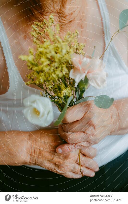 Ältere Hände mit Blumen in einer zärtlichen Umarmung älter Blumenstrauß Nahaufnahme berühren sanft Umarmen Senior Frau gealtert knittern Haut Pflege Zuneigung