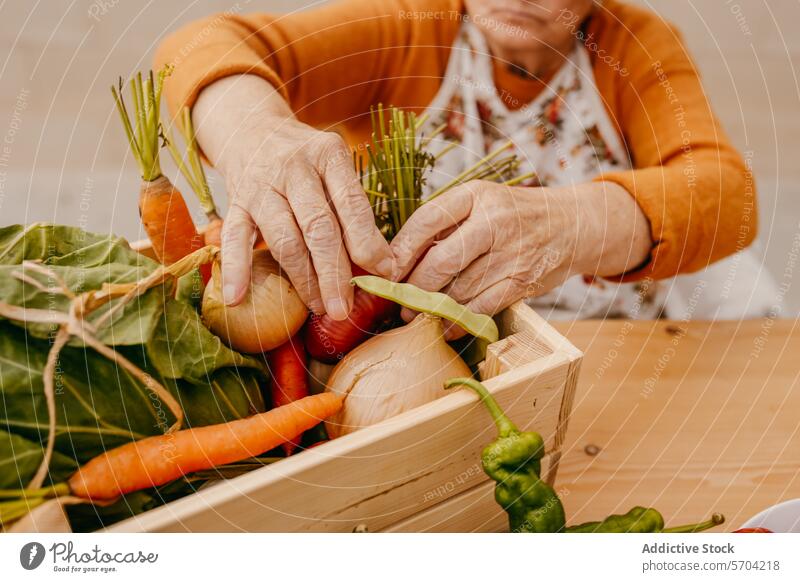 Ältere Menschen sortieren frisches Gemüse in Holzkisten Senior Hände Kiste hölzern Ernte organisierend Tischplatte älter Person Varieté geerntet Kasten Möhre