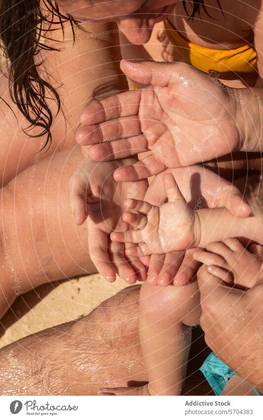Die Hände der Familie in einer warmen Umarmung Umarmen Nahaufnahme Einheit Liebe Wasser Tröpfchen Sonnenlicht Anschluss Zusammensein berühren Bonden