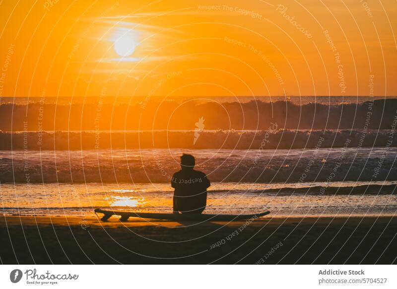 Silhouette eines nicht erkennbaren Surfers auf einem Surfbrett bei Sonnenuntergang am Meer Mann MEER Strand Meeresufer Sport Aktivität Natur Wasser Sommer