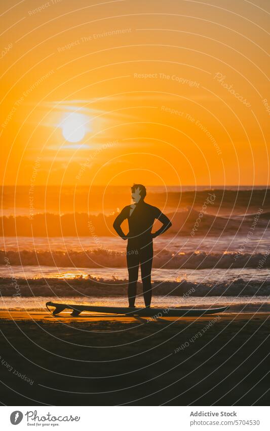 Männlicher Surfer mit den Händen in den Hüften steht am Strand mit Surfbrett bei Sonnenuntergang Mann MEER Silhouette Wasser winken Natur Sand Ufer Meer Küste