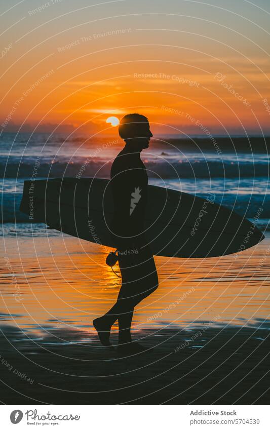 Silhouette eines männlichen Surfers mit Surfbrett am Strand bei Sonnenuntergang Mann wellig Meer Meeresufer MEER Sport Natur Wasser Sommer Urlaub Seeküste