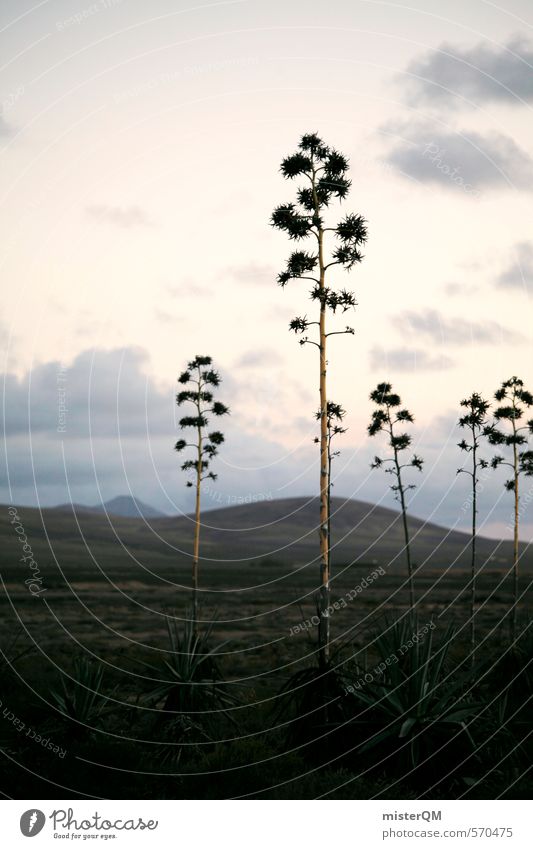I.love.FV XVI Kunst ästhetisch Landschaft Landschaftsformen Pflanze Steppe Fuerteventura Spanien Kaktus Blüte Fernweh Urzeit Dinosaurier Farbfoto