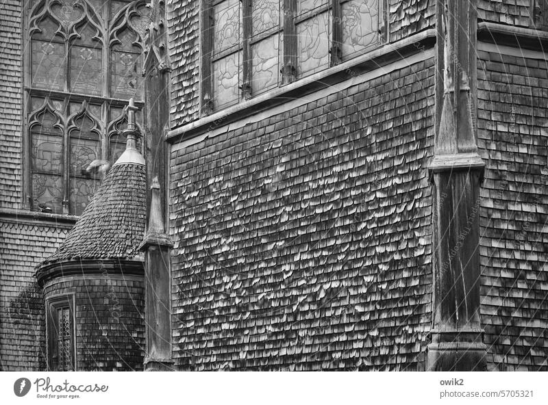 Hölzerne Kirchenmauern Honfleur Detail Sainte Catherine katholisch Holzkirche Kirchenwand alt historisch ehrwürdig Wahrzeichen Sehenswürdigkeit Architektur