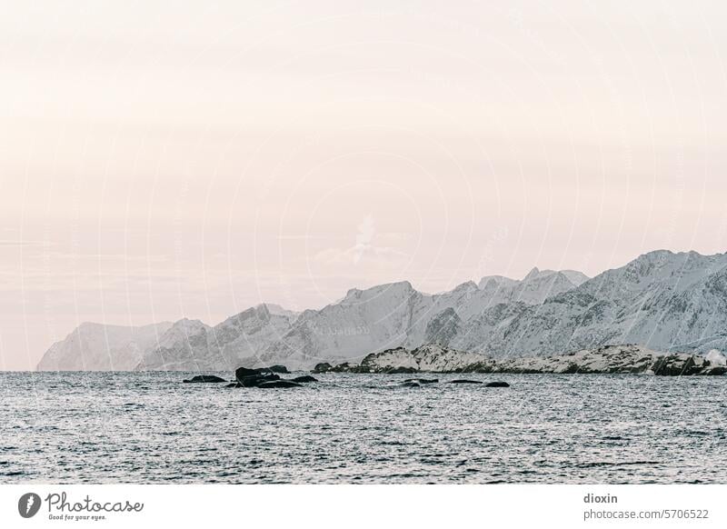 Lofoten Lofoten Inseln Norwegen Norwegenurlaub Meer Meeresufer Atlantik Nordatlantik Polarmeer polar Polarkreis Küste Landschaft Natur Felsen