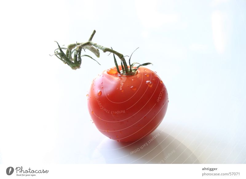 Frische Tomate Gemüse canon eos 300d