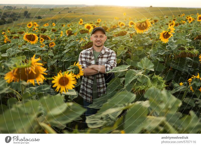 Erfolgreicher, selbstbewusster Landwirt mit gekreuzten Händen steht in einem blühenden Sonnenblumenfeld und schaut in die Kamera. Agronom auf einer landwirtschaftlichen Plantage. Agribusiness, Saatgut- und Ölproduktion, Ernte