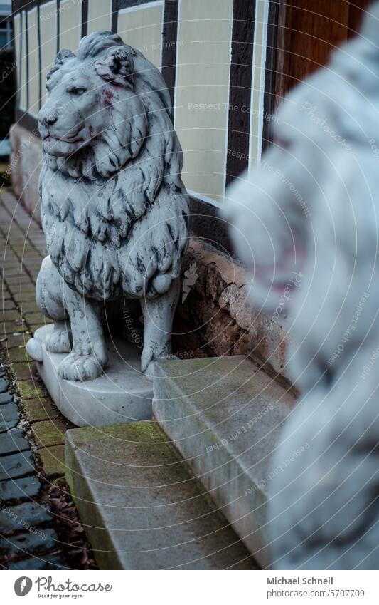 Wachlöwen Löwe Löwenmähne aufpassen Aufpasser Statuen Steinfigur Tier Farbfoto Wildtier Tierporträt Tiergesicht Fell Blick gefährlich