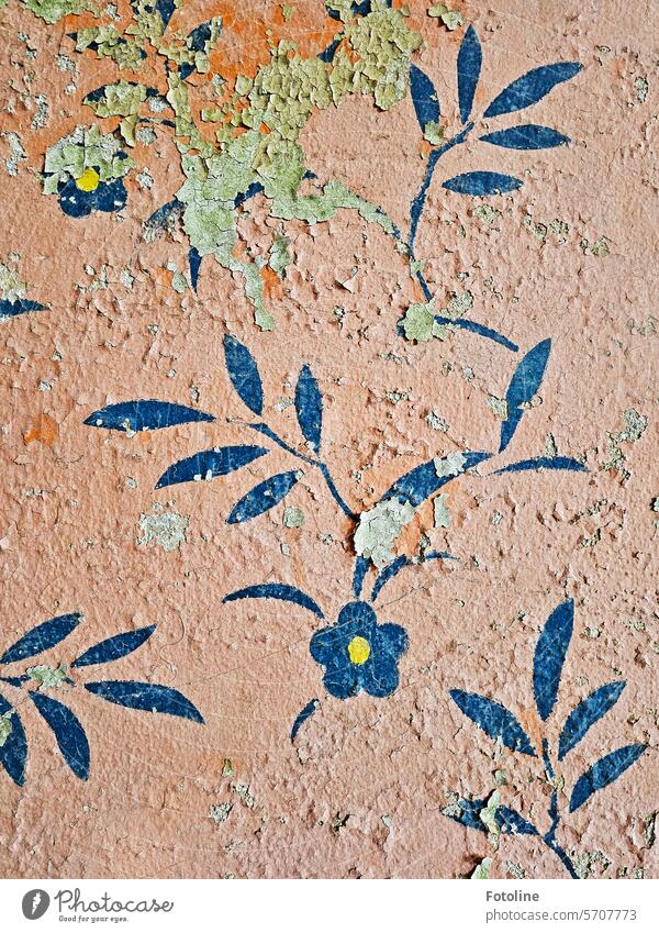 In einem Lost Place bröckelt die Farbe on der Wand. Das alte Blumenmuster ist aber noch gut zu erkennen. lost places Vergänglichkeit Wandel & Veränderung