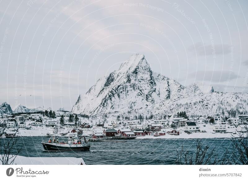 Lofoten - Reine Lofoten Inseln Norwegen Norwegenurlaub Meer Meeresufer Atlantik Nordatlantik Polarmeer polar Polarkreis Küste Schnee Landschaft Natur Felsen