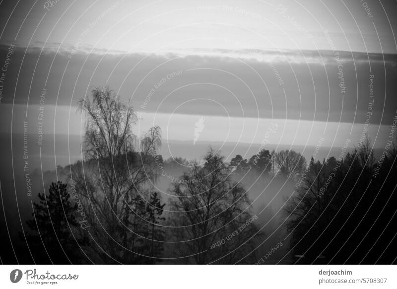 Herbstzeit ist auch Nebelzeit nebelig Landschaft Natur Außenaufnahme Morgen grau Menschenleer Morgennebel Morgendämmerung Umwelt Nebelschleier Stimmung ruhig