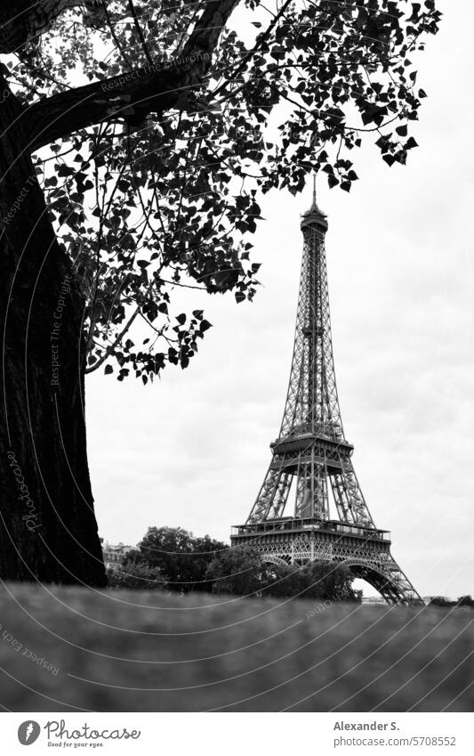 Blick auf den Eiffelturm von unter einem Baum aus Paris Frankreich Tour Eiffel Denkmal Wahrzeichen Tourismus Stadtbild Französisch Europa reisen Ansicht Turm
