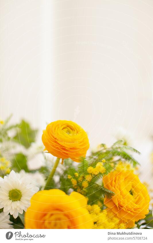 schöne minimale Bouquet mit gelben Ranunkeln und Mimosen Frühling Blumen kopieren Raum oben. Frische elegante Wohnkultur. Florist Arbeit. Ranunculus