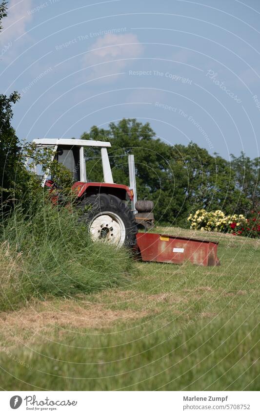 roter Traktor auf Feld Wiese Gras Landwirtschaft Bauernhof Natur Ackerbau landwirtschaftlich Ackerland Sommer Landschaft ländlich Maschine Frühling im Freien