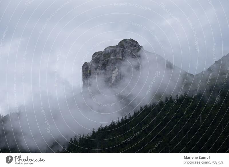 Felsen mit Nebel Berg Berglandschaft Natur Außenaufnahme Wolken Landschaft Berge u. Gebirge wandern Gipfel Hügel Herbst Himmel Wald Umwelt Menschenleer Alpen
