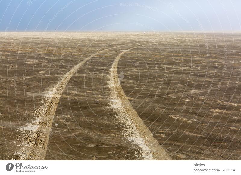 Reifenspuren im Sand verlieren sich am Horizont Wüste Landschaft Himmel Kurve Natur Einsamkeit Ferne Weite endlos
