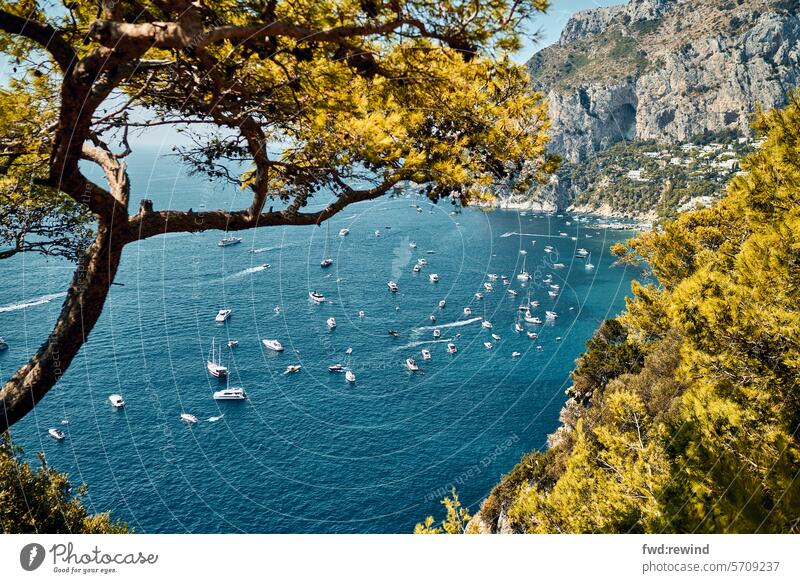 Bucht von Capri Amalfiküste Tourismus Urlaub Ferien & Urlaub & Reisen Italien Küste Sommer Landschaft Sommerurlaub Meer Panorama (Aussicht) mediterran