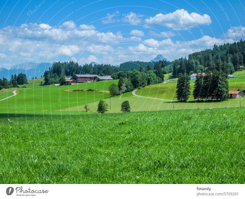 Bayerisches Voralpenland im Sommer Landschaft Bayern deutschland Berg Wiesen wege Hügellandschaft bayerisch Allgäu sonnig feld idyllisch Reisen blau Draussen