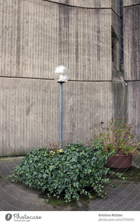 brutalistische ecke mit laterne und bepflanzung straßenlaterne lampe straßenlampe beton sichtbeton betonwand fassade pflanzkübel efeu strauch gebäude