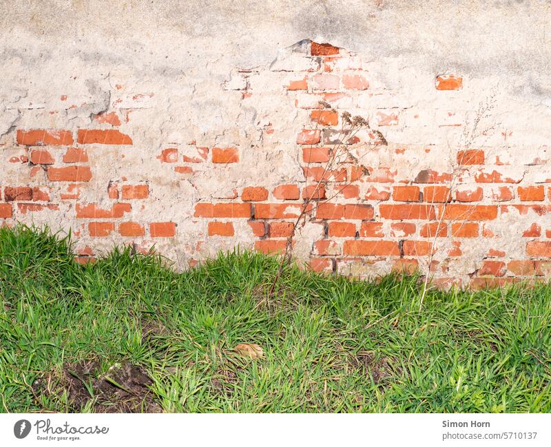 Mauer mit abgeblättertem Putz und Grasfläche Mauerwerk abblättern Strukturen & Formen Untergrund freiliegend Backstein unverputzt alt der Lack ist ab Schichten