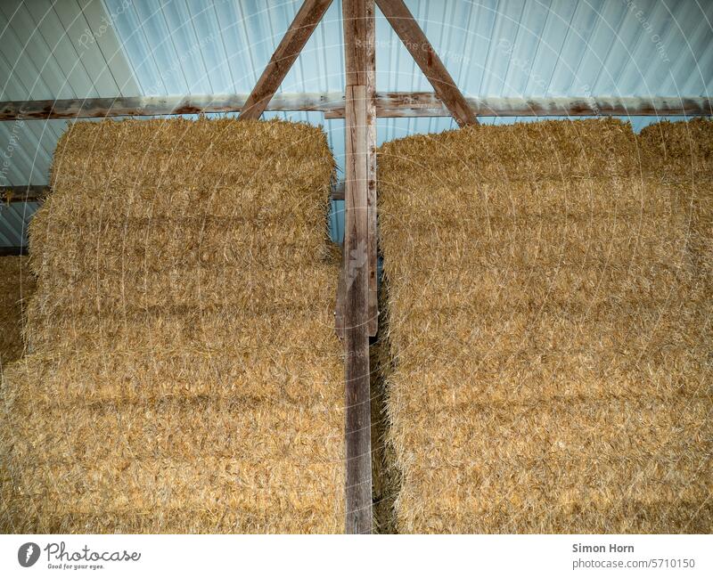 Strohballen unter einem Wellblechdach, Vorrat unter Dach und Fach Ernte Landwirtschaft Lagerung Ackerbau aufgetürmt übereinander gestapelt lagern im Trockenen