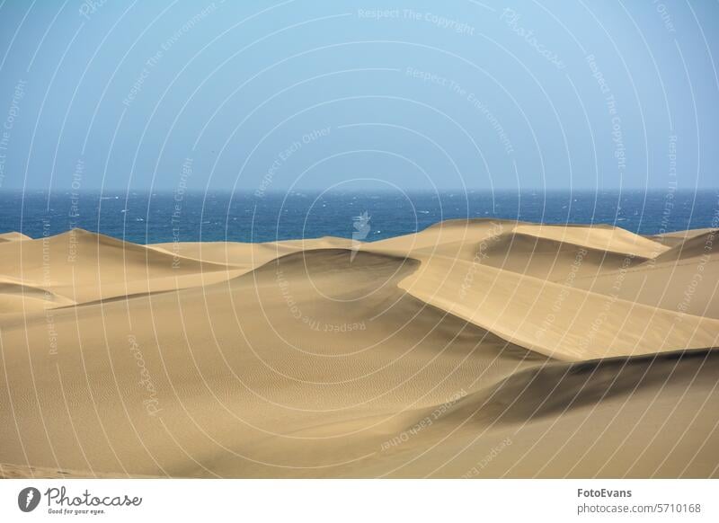 Sanddünen am Meer Horizont Maspalomas trocknen endlos Natur Wasser Gran Canaria Hintergrund MEER Morgen Düne Strand Spanien golden Morgenlicht Europa