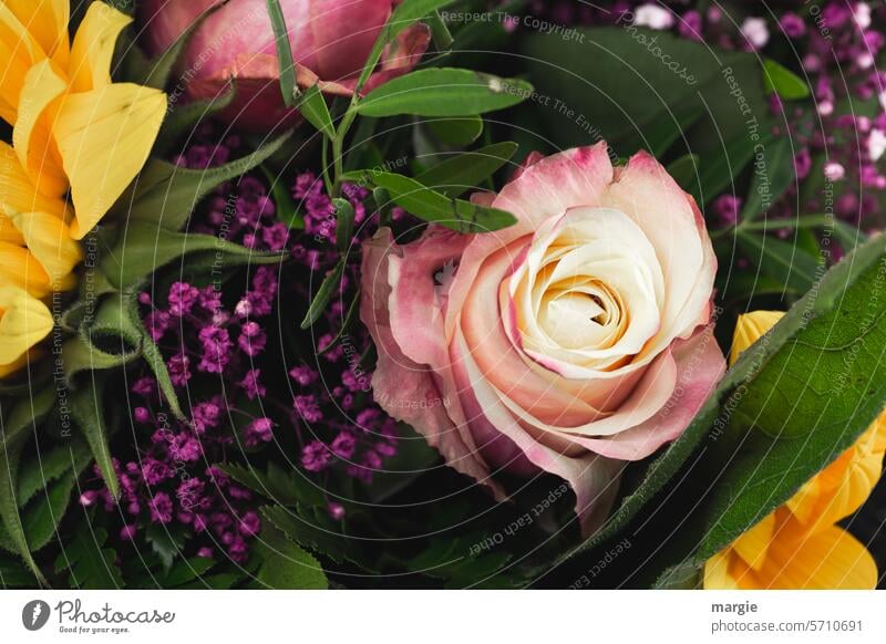 Blumenstrauß Rose Blüte Blühend mehrfarbig Pflanze Farbfoto Menschenleer Duft gelb violett Nahaufnahme Sommer schön Blatt Natur Geschenk Brautstrauß gebunden