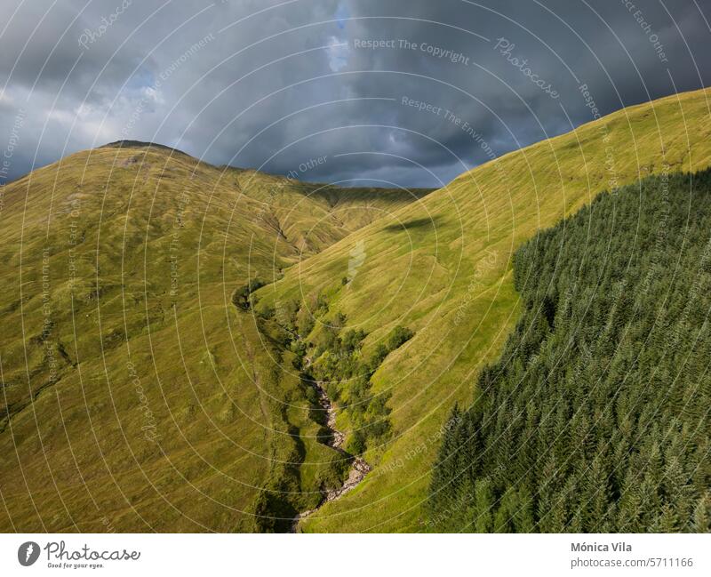 Blick auf den Nadelwald und den Berg bei Bridge of Orchy. schottische Highlands Schottland England Berge grünes Gras Natur Wald Nadelbäume bewölkter Himmel