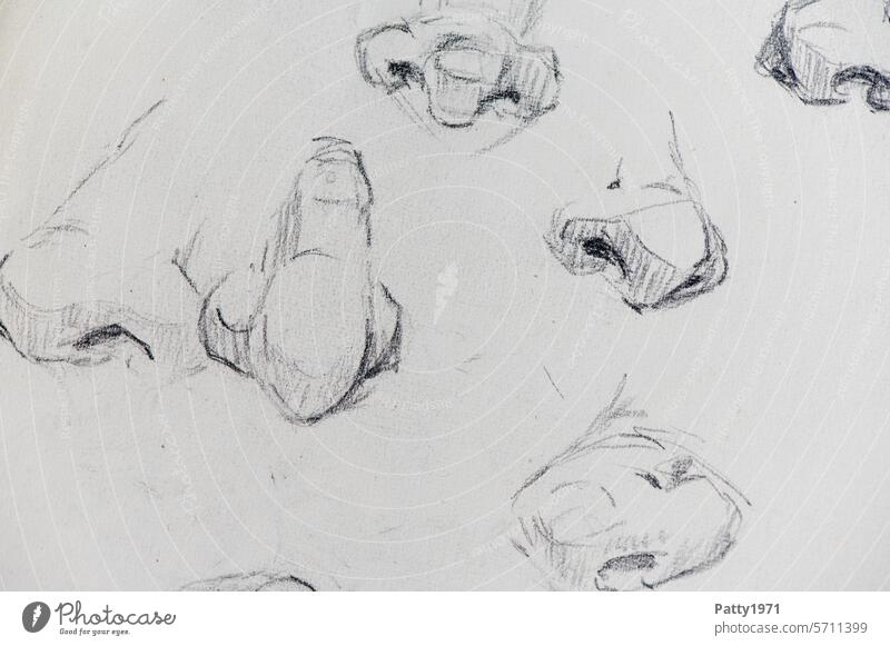 Bleistiftskizze mehrerer menschlicher Nasen aus verschiedenen Blickwinkeln riechen Skizze Mensch Zeichnung viele Kunst kreativ zeichnen handgezeichnet Duft