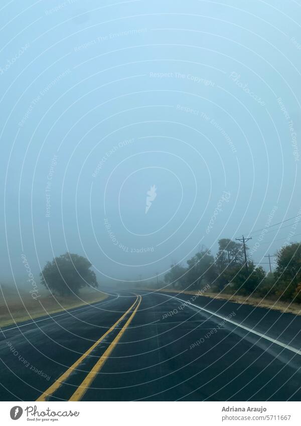 nebliger Morgen Nebelwolke wolkig Stimmung Natur Autobahn Wetter Landschaft Himmel Nebelstimmung