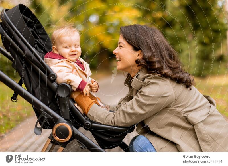 Junge Frau mit niedlichen Baby Mädchen im Kinderwagen im Herbst Park bezaubernd Erwachsener Pflege Kaukasier Kindheit Tochter fallen Familie Laubwerk