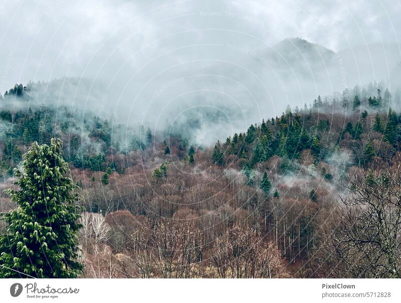 Nebel im Gebirge Landschaft Morgendämmerung Sonnenaufgang Natur Menschenleer Baum Berge u. Gebirge Außenaufnahme Wald Pflanze Umwelt Gras Farbfoto Wolken Hügel