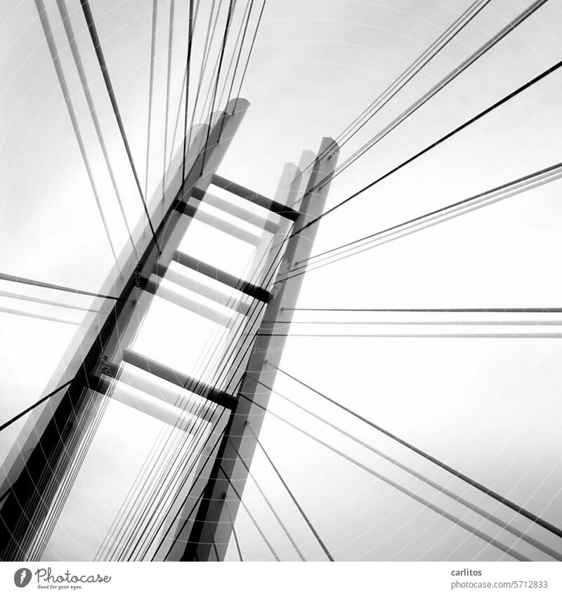 Rügen-Brücke  | Zitterversion V Drahtseil Pylon Rügenbrücke Perspektive Gegenlicht Himmel Bauwerk Architektur Verkehrswege Brückenpfeiler Straßenverkehr