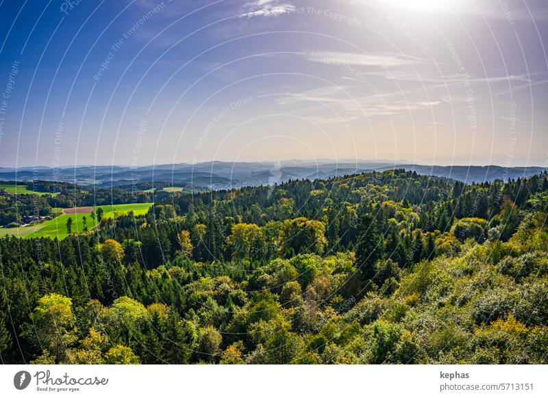 Hügellandschaft mit Wäldern unter sonnigem Himmel Wald Landschaft Sonne Natur Aussicht Idylle wälder Sonnenlicht fernsicht Panorama (Aussicht) Schweiz