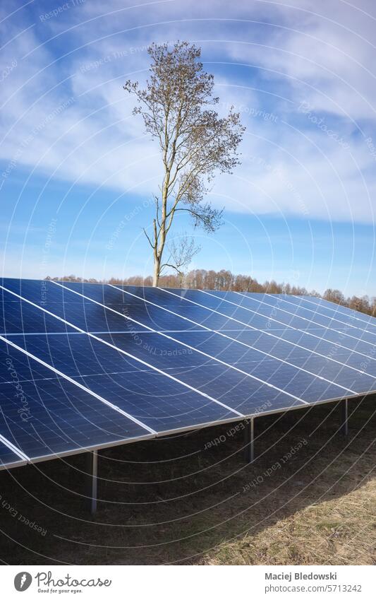 Fotovoltaikmodule in einer ländlichen Umgebung an einem sonnigen Tag, selektiver Fokus. Sonnenkollektor pv Photovoltaik Ökostrom Solarzellenpanel Energie Modul