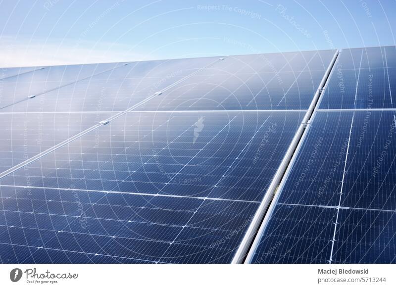 Fotovoltaikmodule an einem sonnigen Tag, selektiver Fokus. Sonnenkollektor pv Photovoltaik Ökostrom Solarzellenpanel Energie Modul solar Panel RES Himmel grün