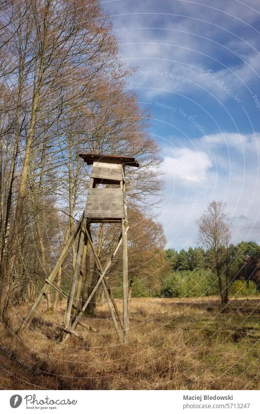 Foto einer erhöhten Hirschjagdhütte am Waldrand. Hochsitz Natur Jagdturm Hirsch-Stand Hirsche blind Turm im Freien Baum Landschaft hölzern Tierhaut Saison