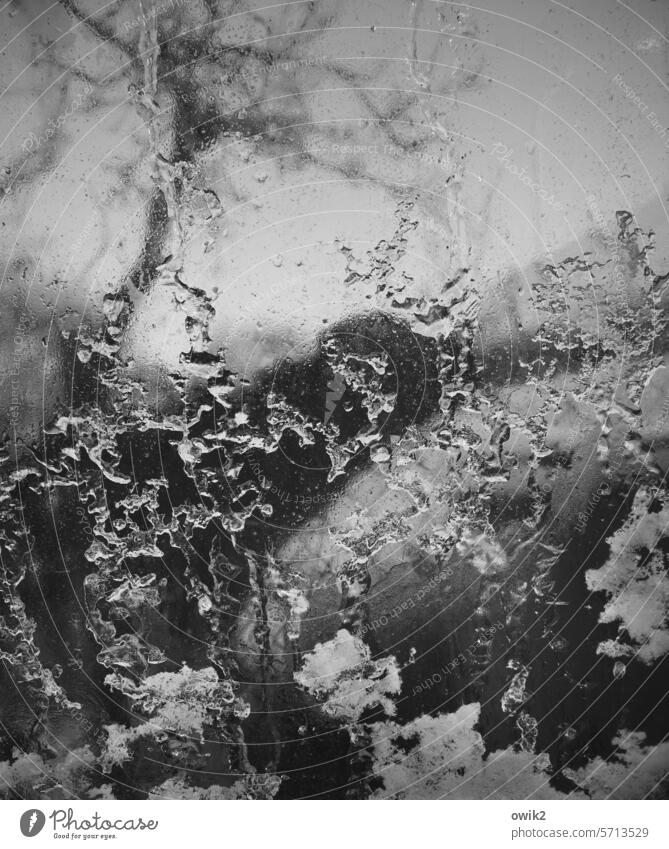 Treibhauseffekt Gewächshaus Glasscheibe Winter Eis Eiskristalle gefroren Frost Schwarzweißfoto durchsichtig Wasser drinnen draußen kalt Eisblumen Jahreszeiten