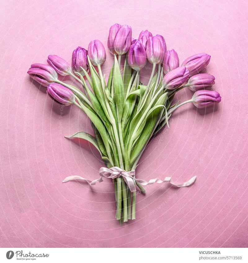 Schöne lila Tulpe Blumenstrauß mit Band auf rosa Hintergrund, Ansicht von oben. schön purpur Haufen Bändchen Top Tulpen geblümt Objekt romantisch Feiertag