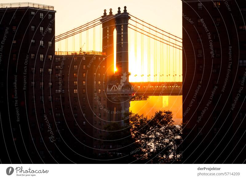 Manhattan Bridge am Morgen Zentralperspektive Starke Tiefenschärfe Sonnenstrahlen Sonnenlicht Lichterscheinung Reflexion & Spiegelung Schatten Kontrast