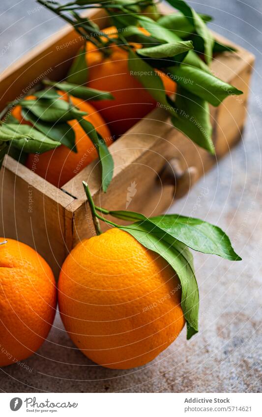 Reife Orangen mit frischen grünen Blättern werden ausgestellt, einige liegen auf einer strukturierten Oberfläche, andere in einer Holzkiste, die ein Gefühl von frischer Ernte vermittelt.