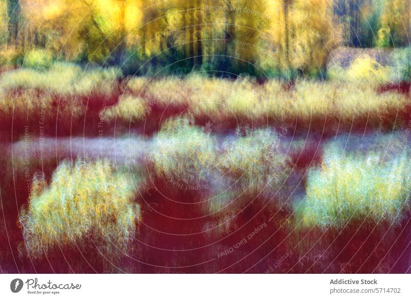 Abstrakte Herbstlandschaft mit Piktorialismus-Effekt abstrakt Kunst Landschaft Unschärfe Einfluss pulsierend Farbe Impressionismus saisonbedingt künstlerisch
