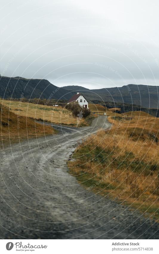 Generiertes Bild Island Haus Landschaft abgelegen Einsamkeit malerisch Natur reisen Straße ländlich Gelassenheit im Freien Abenteuer isländisch Ausflugsziel