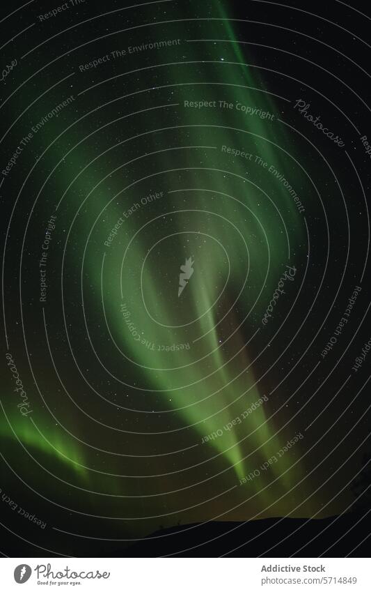 Atemberaubende Aurora Borealis über dem dunklen isländischen Himmel Nordlicht Island Nachthimmel Naturphänomene grün Lichter Spektakel himmlisch dunkel