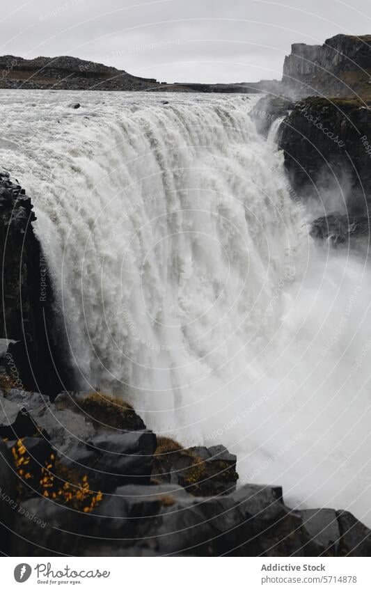 Majestätischer Wasserfall in Islands zerklüfteter Landschaft Natur Kaskade Kraft Schönheit roh Gelände im Freien majestätisch fließen natürlich malerisch reisen