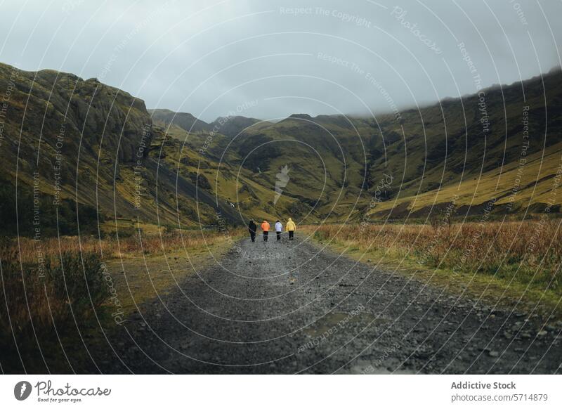 Anonyme Gruppe beim Trekking auf einem isländischen Bergpfad Island Abenteuer reisen Menschengruppe laufen Berge u. Gebirge Straße malerisch Landschaft Natur