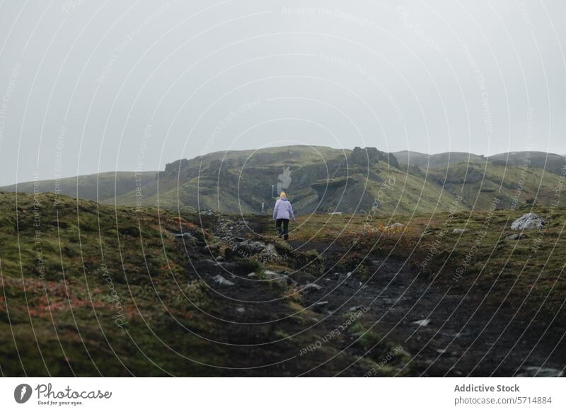Anonyme Frau inmitten der geheimnisvollen Landschaft von Island Abenteuer reisen vulkanisch Nebel Isolation Erkundung Natur im Freien Gelände Hügel Einsamkeit