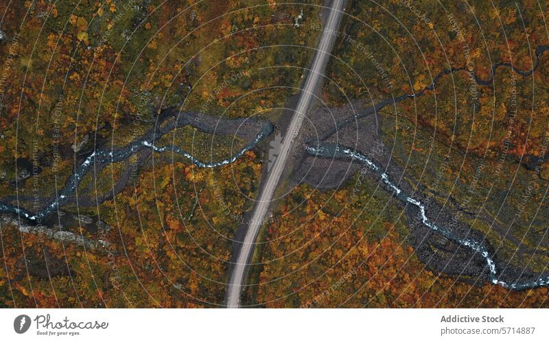 Generiertes Bild Island Luftaufnahme Landschaft Fluss Straße Herbst malerisch Natur im Freien Wildnis reisen Dröhnen Laubwerk orange gelb grün Bäume Saison