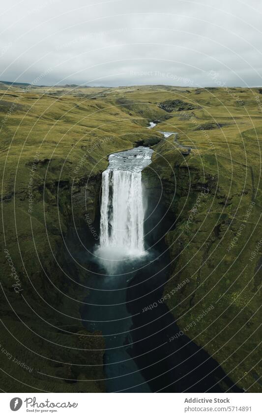 Majestätischer Wasserfall in der grünen Landschaft von Island Natur natürlich Schönheit Hügel Gelassenheit Kaskade Pool pflanzlich malerisch vereinzelt